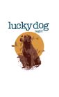 Lucky Dog lager identity